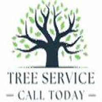 Tree service hawthorne ca
