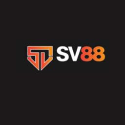 Sv88 airlines