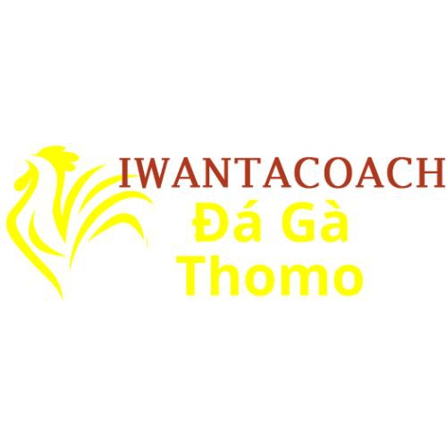 Đá gà trực tiếp thomo