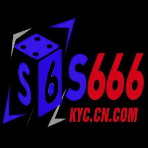 S66kyc cn com