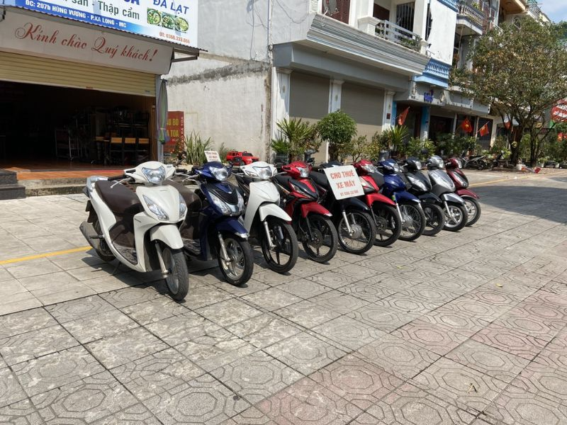 Thuê xe hạ long