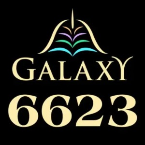 Galaxy6623xn com