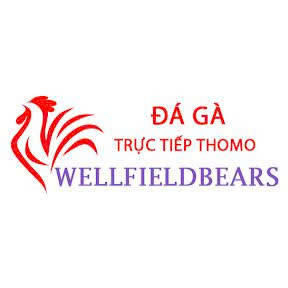 Đá gà trực tiếp thomo