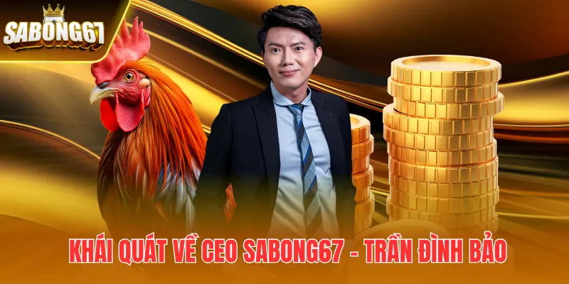 Ceo trần đình bảo