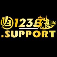 123b support