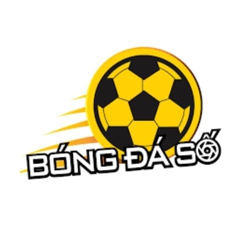 Nhà cái bóng đá số