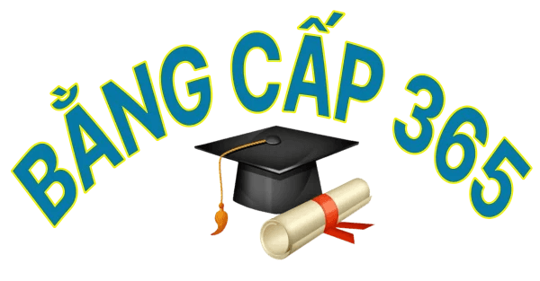 Bằng cấp uy tín 365