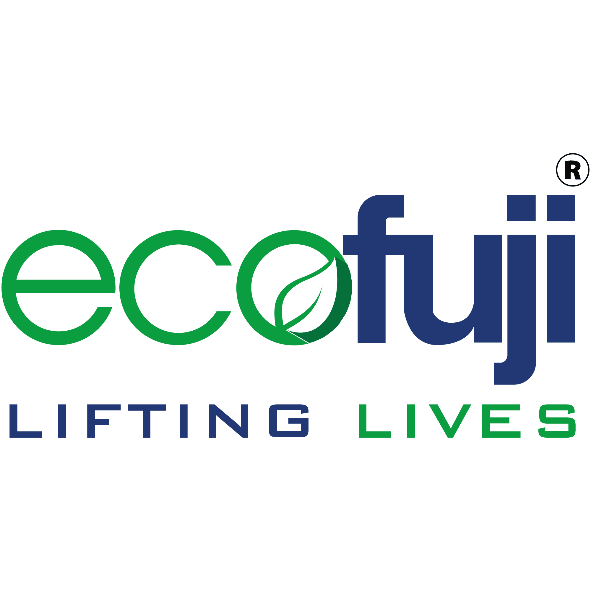 Thang máy ecofuji việt nam