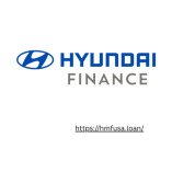 Hmfusa payment