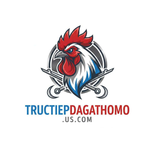 Trực tiếp đá gà thomo