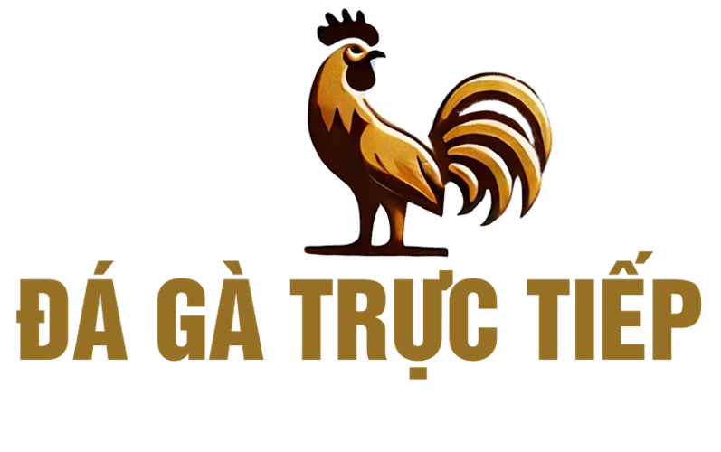Đá gà trực tiếp