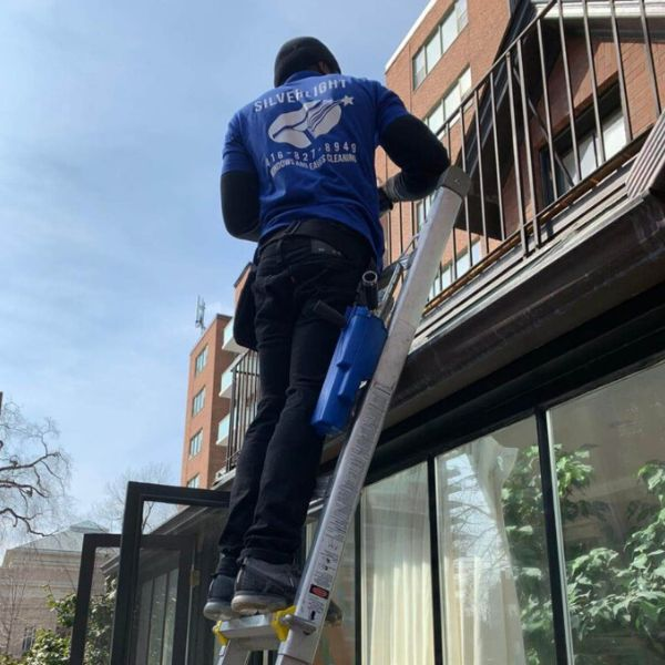 Top-rated window cleaners toronto