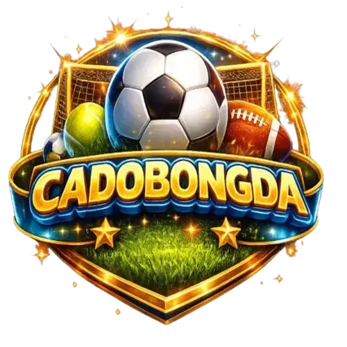 Cá độ bóng đá