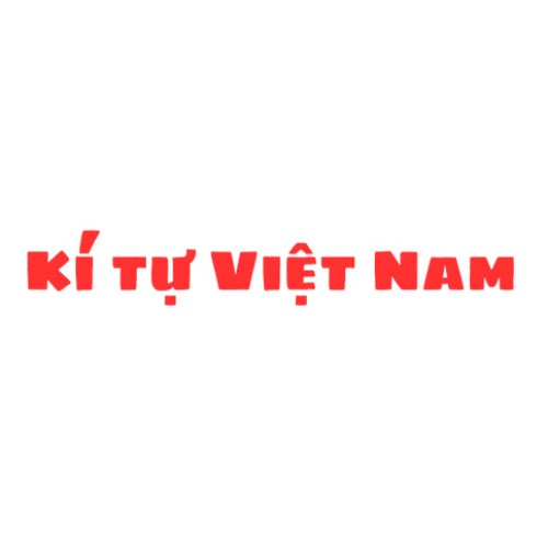 Kí tự việt nam