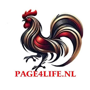 Đá gà thomo page4life