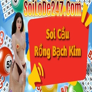 Soi cầu 247