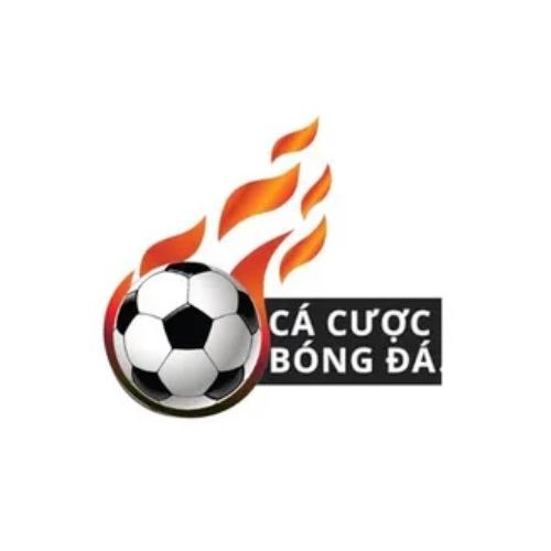 Cacuocbong daone