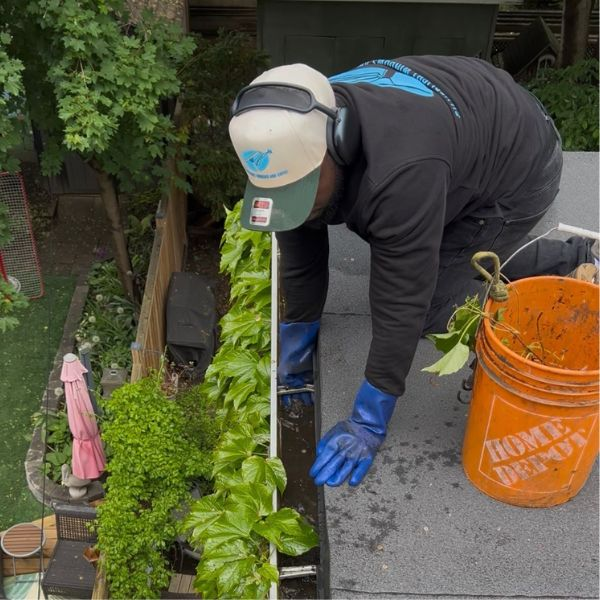 Gutter cleaning mississauga