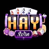 Haywin 2026io