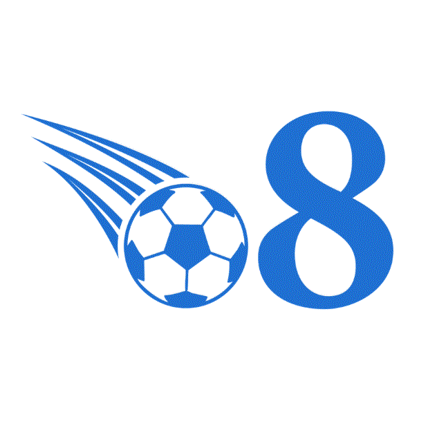 O8 ninja