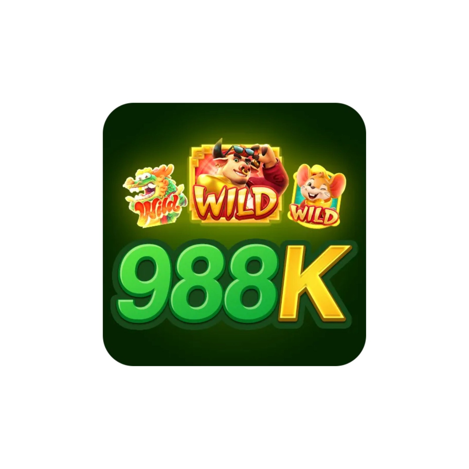 988k br com