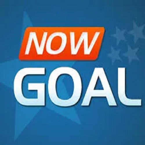 Nowgoalvnsa com