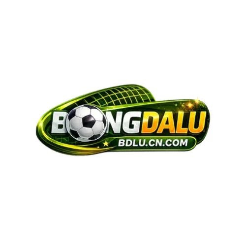 Bdlu cn com