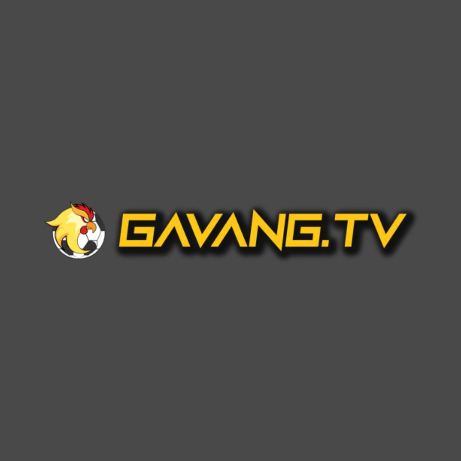 Gavang tv