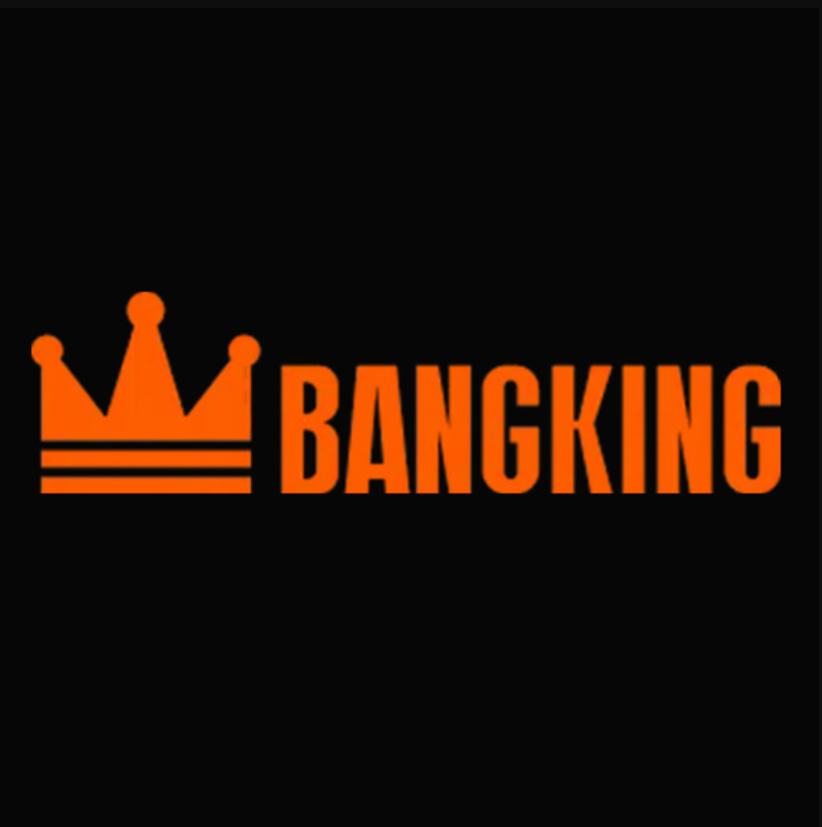 Bang king vape kopen in nederland