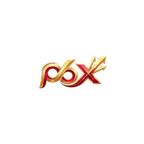 P6x io