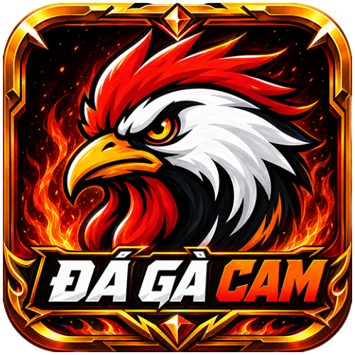 Da ga cam xem da ga thomo truc tiep c1 c2 c3 c4 c5 c6