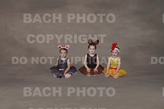 Belle Groups