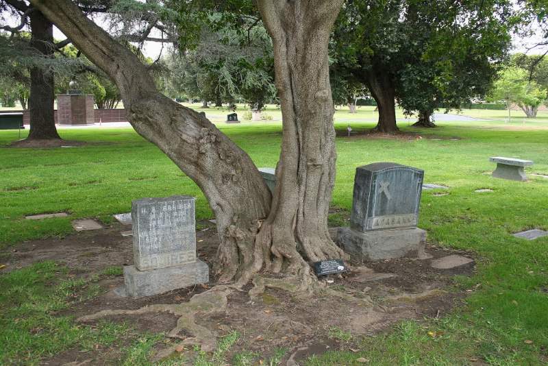 10 Most Haunted Cemeteries in California