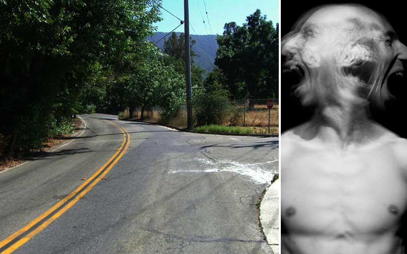 True Scary Stories The Screaming Demons Of Hicks Road