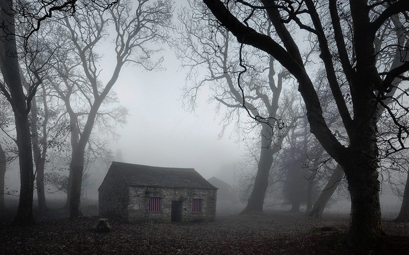 Paranormal Survivor Escaping the House of Demons