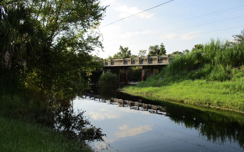 Dead Babies Can Still Cry on Bloody Bucket Bridge in Wauchula