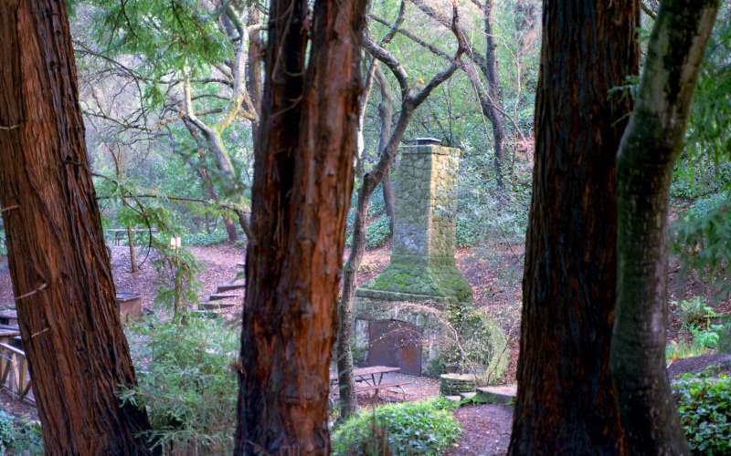 Native American Spirits Lurk at Live Oak Park in Berkeley