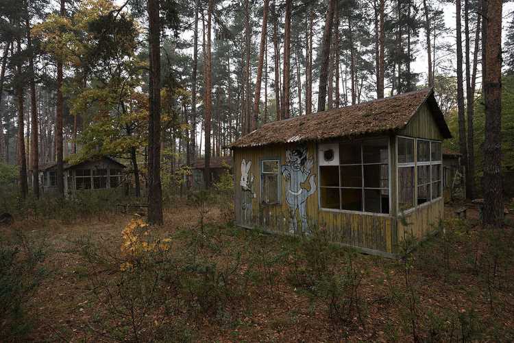 These 10 Genuinely Haunted Forests In Texas Will Terrify You