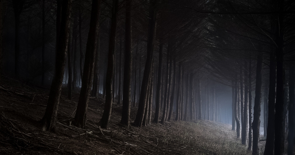 These 10 Genuinely Haunted Forests In California Will Terrify You
