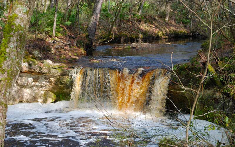 The 7 Best Waterfall Hikes in Florida to See a Ghost
