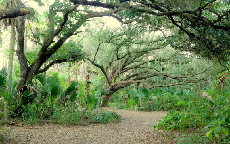 The 10 Best Day Trips In Florida To See A Ghost
