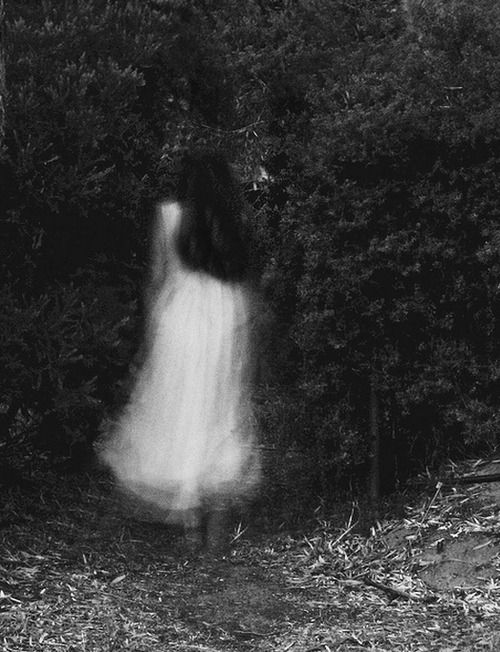 Ghosts Warn Of A Living Nightmare