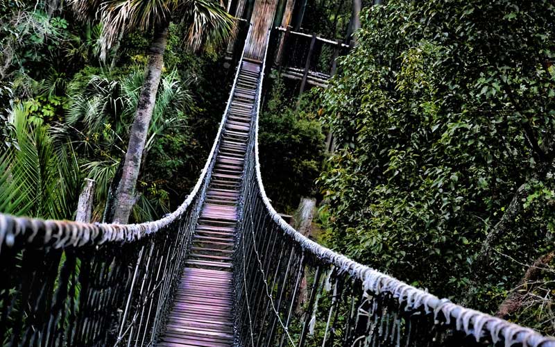 Your Worst Nightmare Paranormal Terror On The Canyon Lake Trail