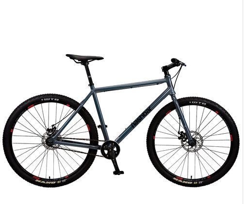 nashbar single speed 29er