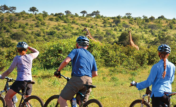 descriptive text here