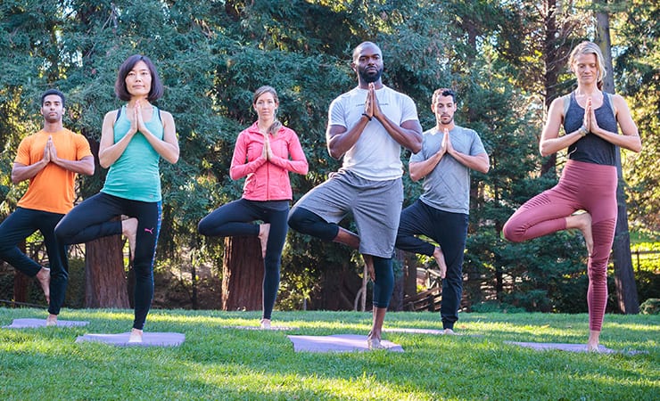 descriptive text here