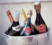 Wine Trips