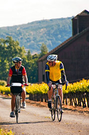Wine Country Biking Trips