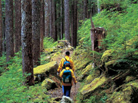 Hiking Trips in Olmpic National Park