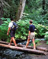 Backroads Alaska Walking Trips